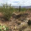 Two of Arizona's essentials, copper and cacti, can be viewed at the remains of the Loma Verde Mine.