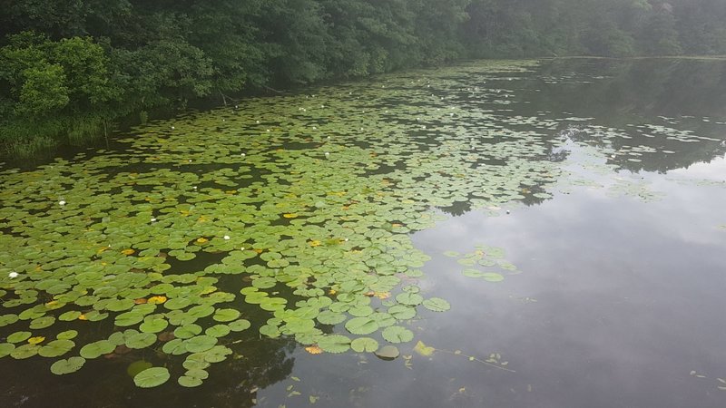 Photo of one of the lake crossings from the bridge.