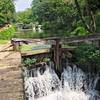 Great Falls locks (and fugitive waterfall).