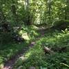 Heading up the Staunton River Trail.