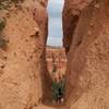 Cutting through a wall on the Peekaboo Loop in Bryce Canyon NP.