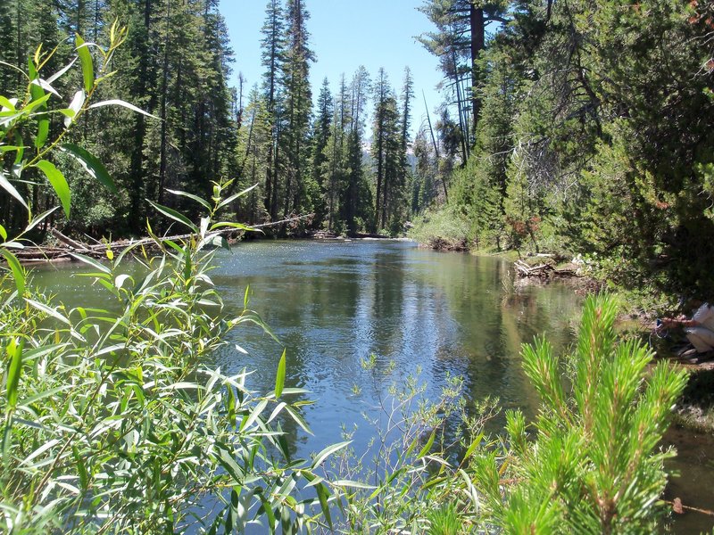 The Merced River flowing through Little Yosemite Valley.