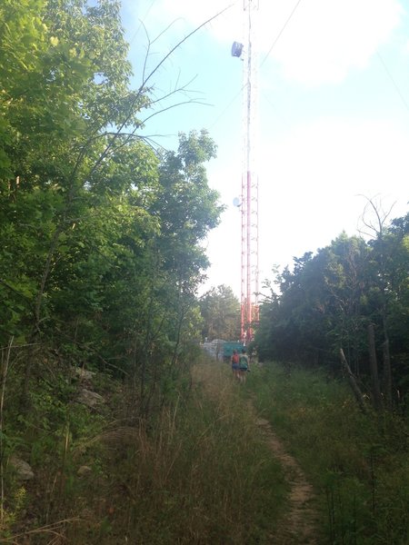 View of the Tower toward the top of the switchback on Varnedoe.