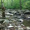 Creek crossing at the bottom of Natural Well Trail.