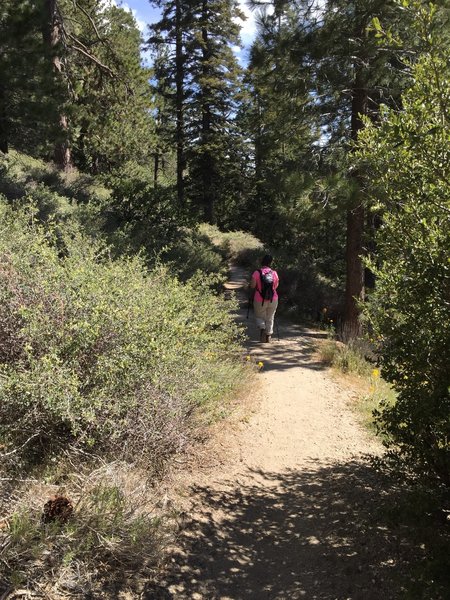 Traveling down the Burkhart Trail between Buckhorn Campground and Cooper Canyon.