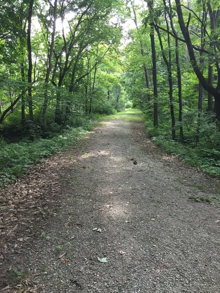 Doubletrack on the Triangle Trail.