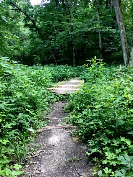 Footbridge over a creek in Hawk Ravine.