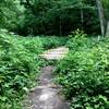 Footbridge over a creek in Hawk Ravine.