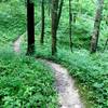 The back out of the west slope of Hawk Ravine Trail.