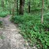 Looking down into Hawk Ravine from the west side.