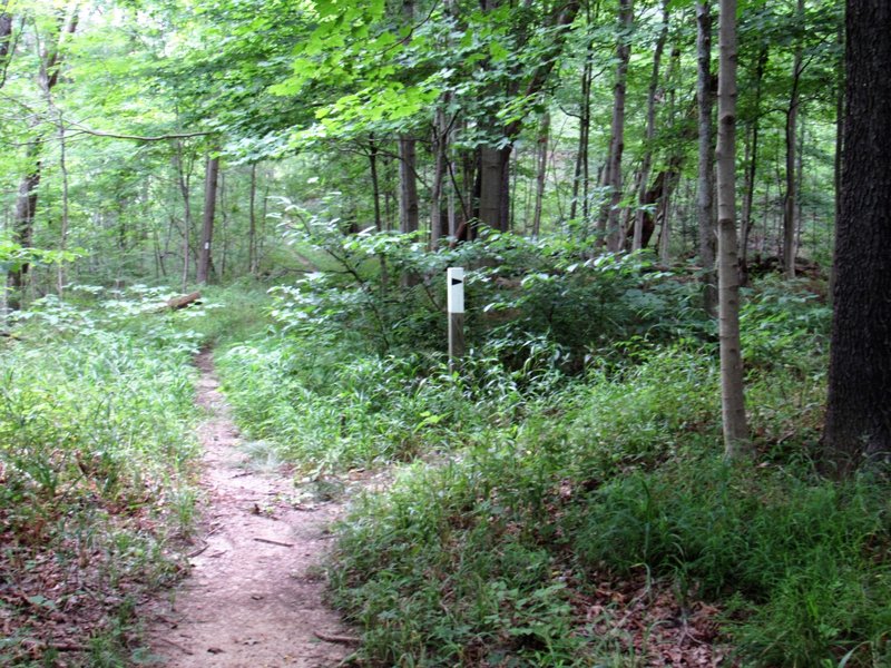 One and only intersection of the trail.