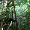 Suspension Bridge over Hawk Creek.