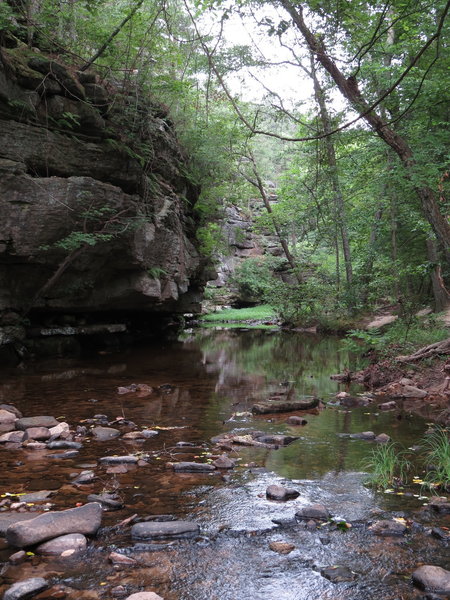 View of Pickle Creek.