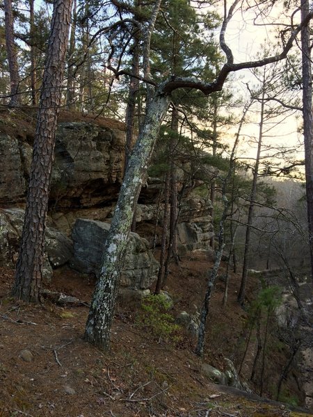 View along Pickle Creek overlook.