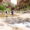 Walking across the creek.