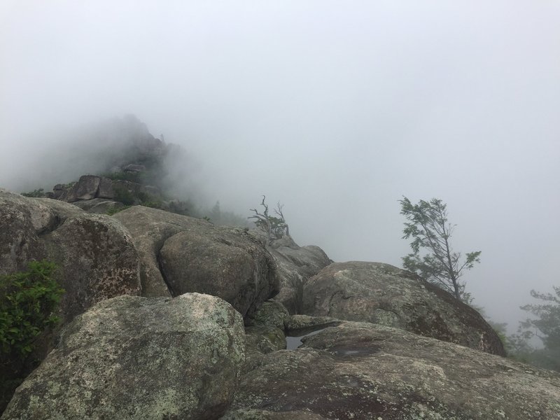 Viewing Old Rag Summit from the first peak on Old Rag on a foggy morning.