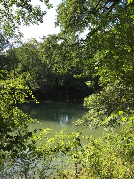 The blue/green waters of the Chattahoochee through the green forest leaves.