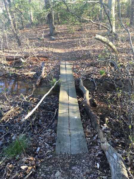 Built structure over wet area.