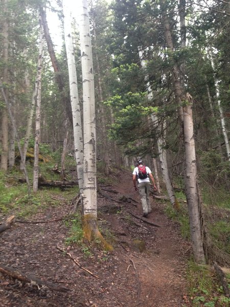 Heading up the Valley Floor Connector Trail.