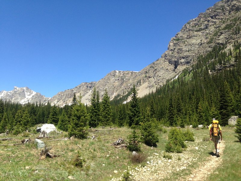 Blue sky day on Buchanan Pass Trail.