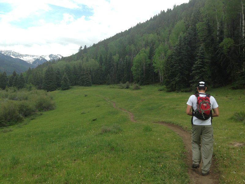 The start of the Valley Floor Trail.