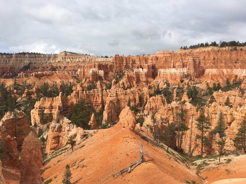 Hoodoos.