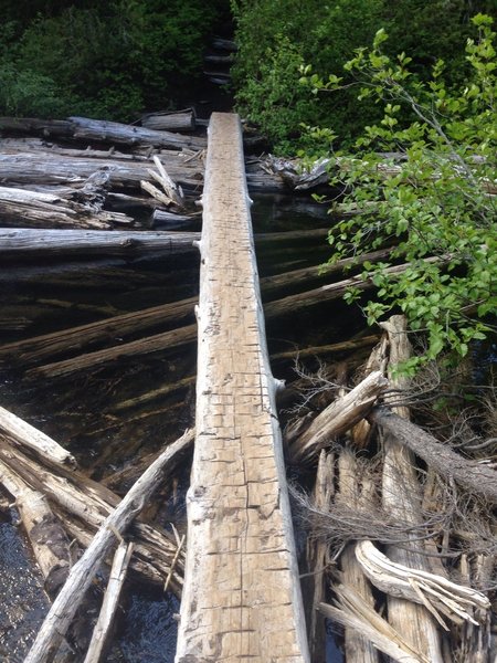View from far side of log crossing.