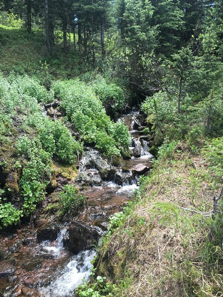 Pleasant stream to relax you on the ascent.