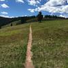 Long section of singletrack traversing on the Great Escape.