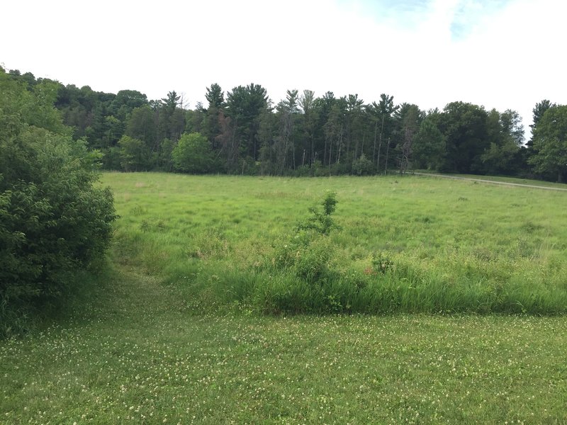 The eponymous prairie, from the Bluestem trailhead.