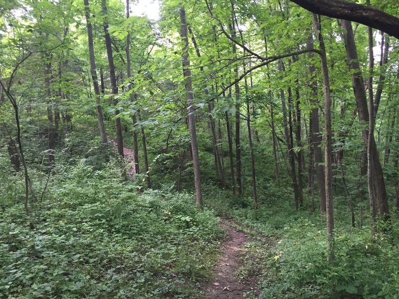 Prairie View Nature Trail.