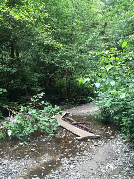 Summer stream crossings in Fern Canyon.