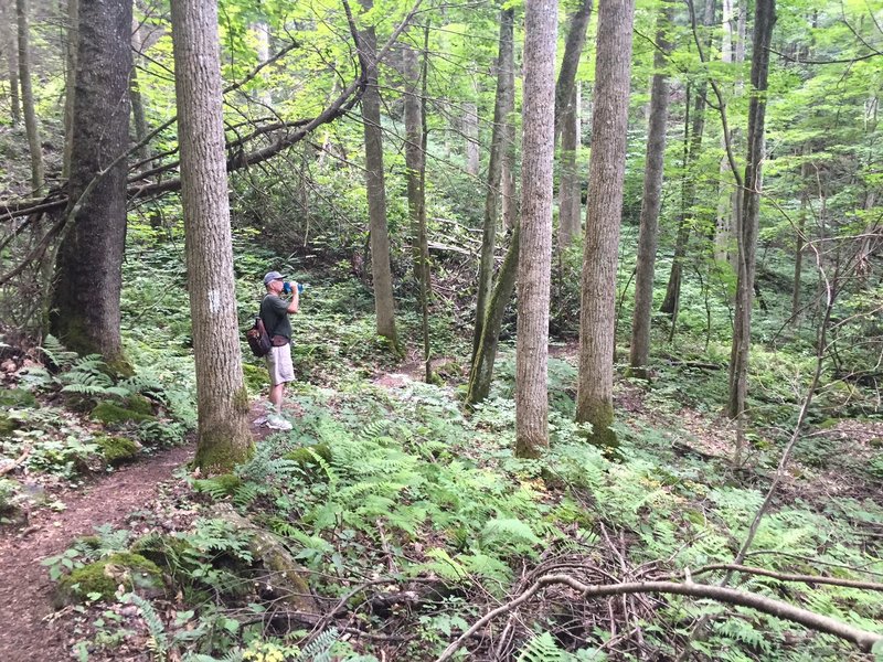 Taking a water break shortly after the steep Coon Den Falls Trail intersects the Appalachian Trail.