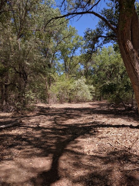 Turnaround point. Approximately halfway.