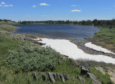 North Twin Lake from trail just after crossing the inlet trail.