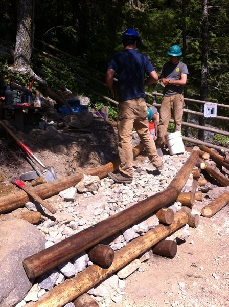 EarthCorps crew improving a view area for future visitors!