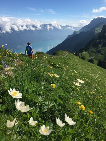 High over Interlaken.