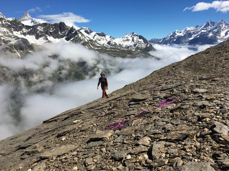 Fog in the lower valley but clear up on the Matterhorn.