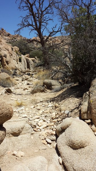 Transition from the soft sand to small rocks and shortly to hilly hard pack.