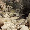 Transition from the soft sand to small rocks and shortly to hilly hard pack.