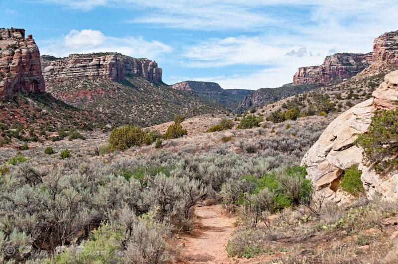 Heading along No Throughfare Canyon, Colorado Nat. Monument. with permission from Peter B. Pearman