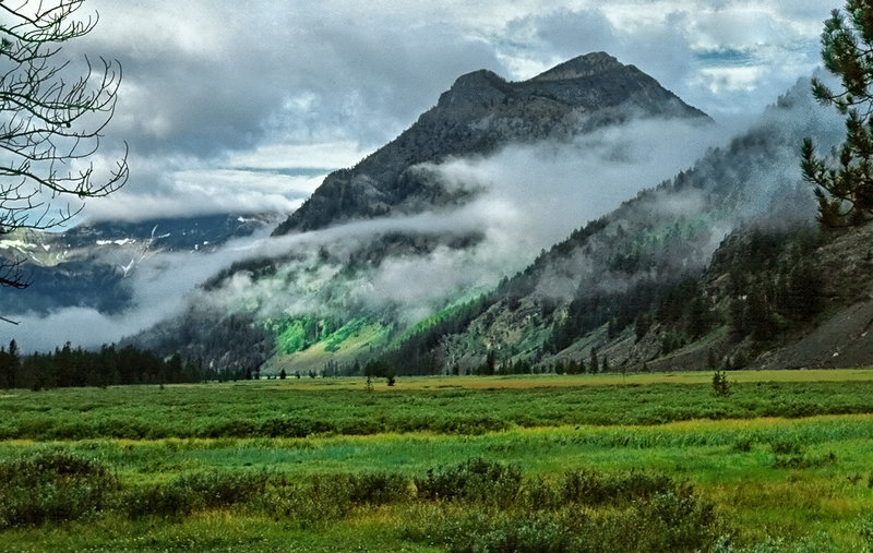 Eagle Creek Meadows in Washakie Wildernesss. with permission from Ralph Maughan