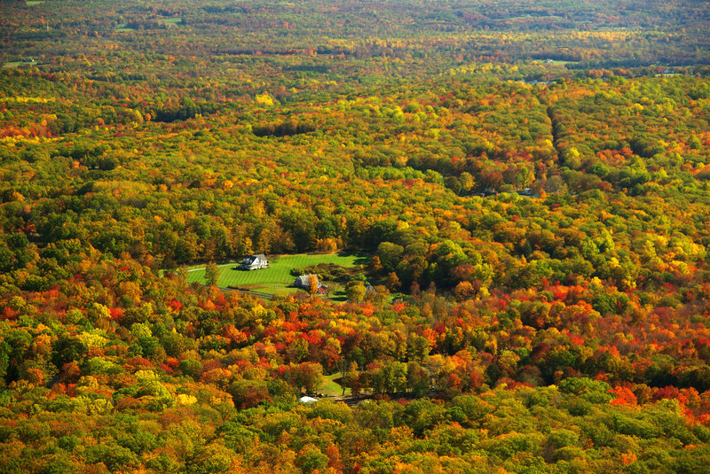 SE View from Catfish Fire Tower - 1565 ft. with permission from Jean Drescher