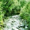 Wairere Stream from Bridge - Lower Taranaki Falls Track