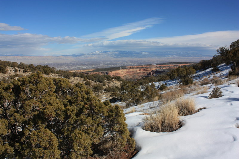 Looking east from Black Ridge Trail. with permission from Hobbes7714 Photo Credit: Andrew Wahr  Link: https://twitter.com/WahrAndrew