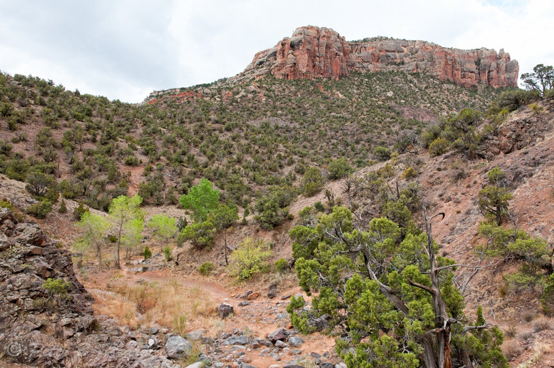 No Thoroughfare Canyon above the first pool with permission from Peter B. Pearman