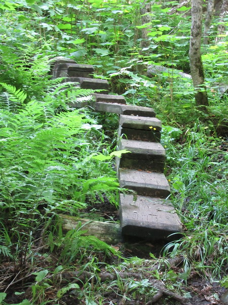 Stepped planks over wet hillsides of West Huginnin Cove Trail.