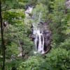 Peaking at the falls through the dense foliage.