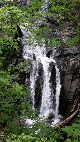 Whiteoak Falls.