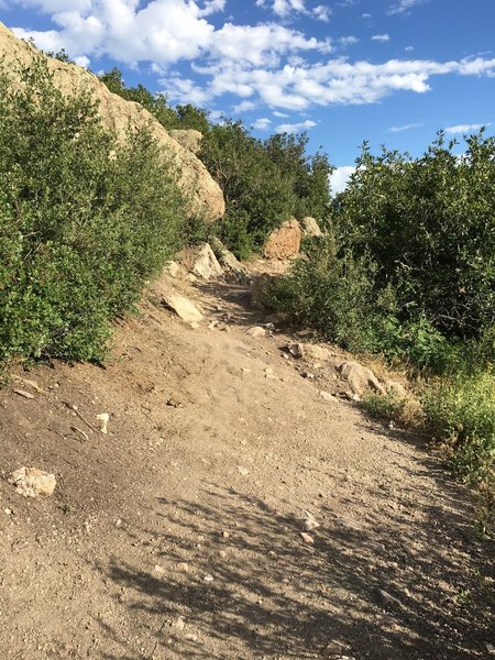 Starting the ascent of the trail.